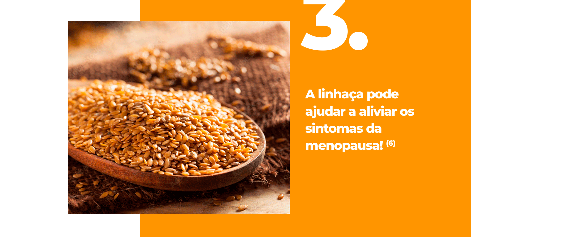 A linhaça pode ajudar a aliviar os sintomas da menopausa!