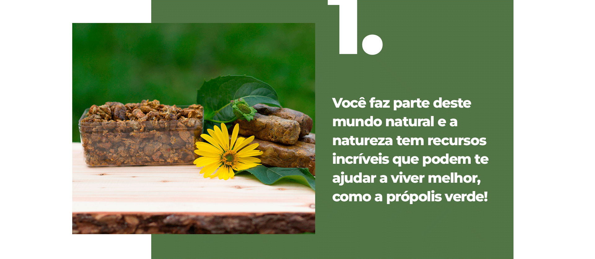 Você faz parte deste mundo natural e a natureza tem recursos incríveis que podem te ajudar a viver melhor, como a própolis verde!