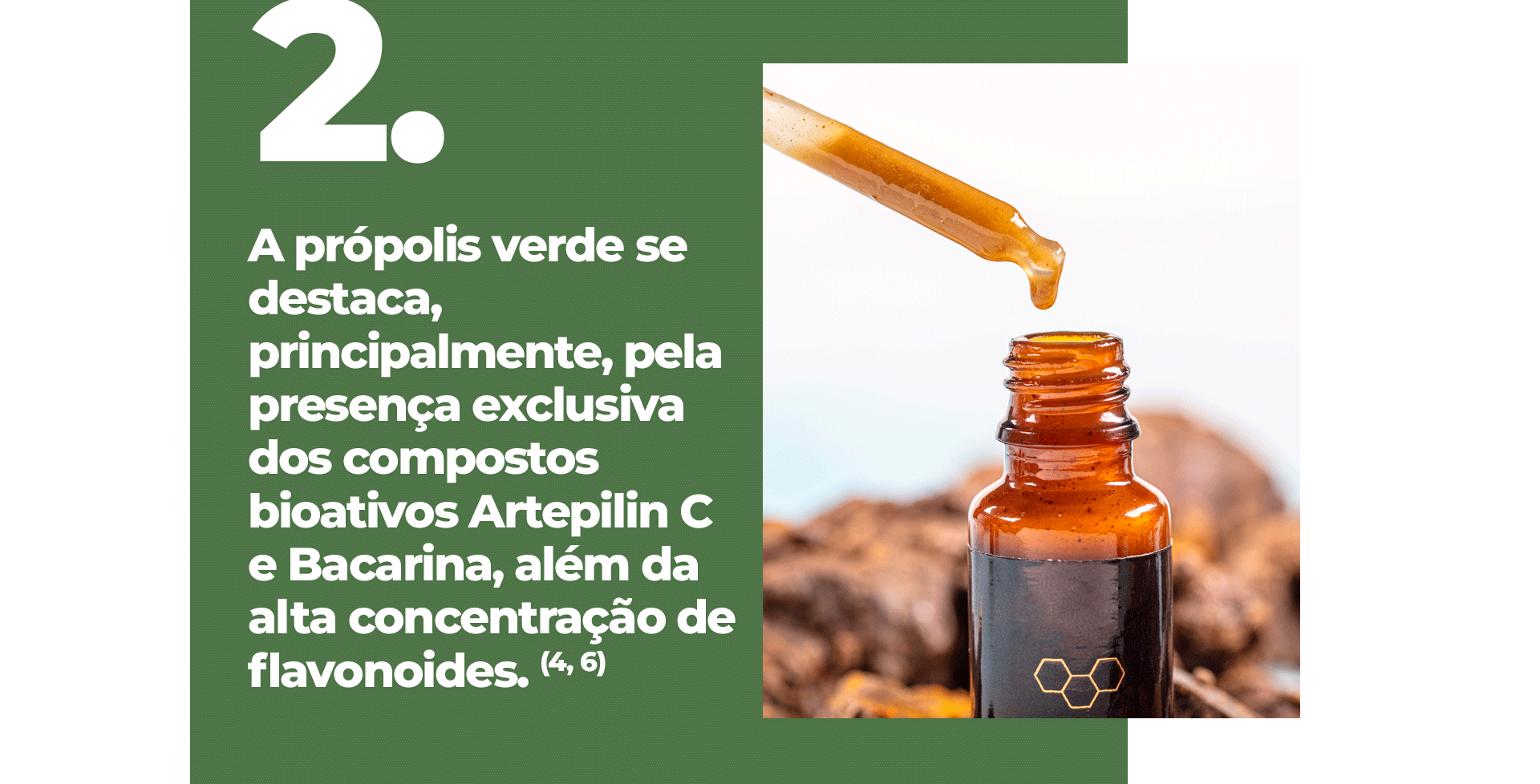 Em função da diversidade botânica utilizada pelas abelhas, a própolis pode ser caracterizada por diferentes cores, desde vermelha, amarela, marrom verde, entre outras. O Brasil é um grande produtor de própolis e o principal tipo é a de cor verde. (1)